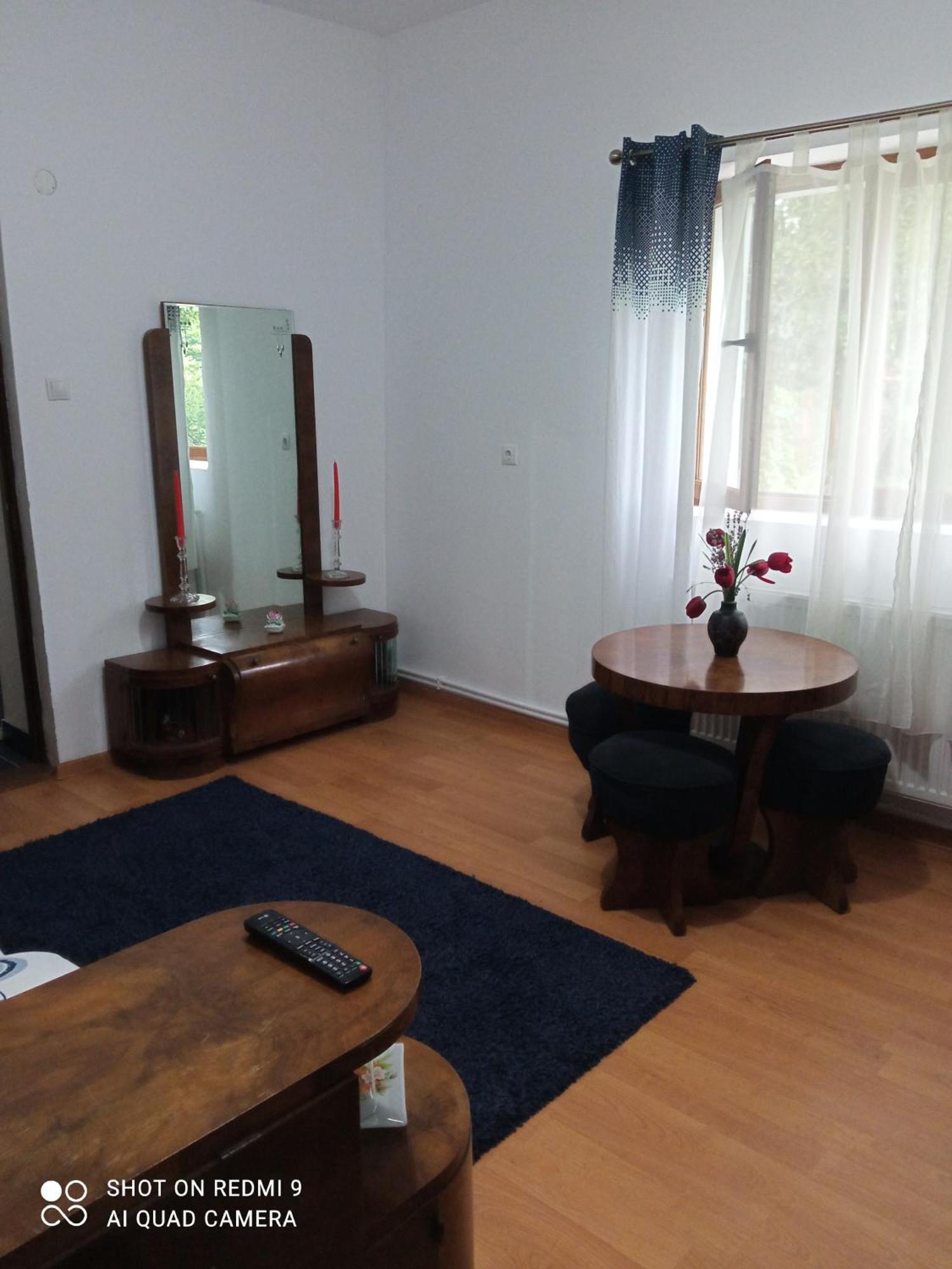 Pensiunea Dodo Patarlagele 部屋 写真